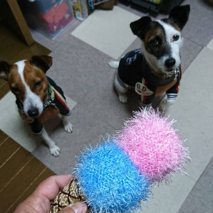 71ac1fc4 aafe 4ab9 8f5f 0cd23518f8fb 1610519473485