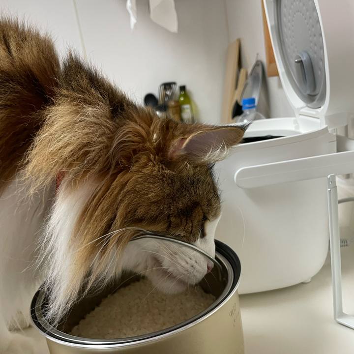 71ac2055 78ab 4e44 8cf2 9c28041329a4 1693687554688