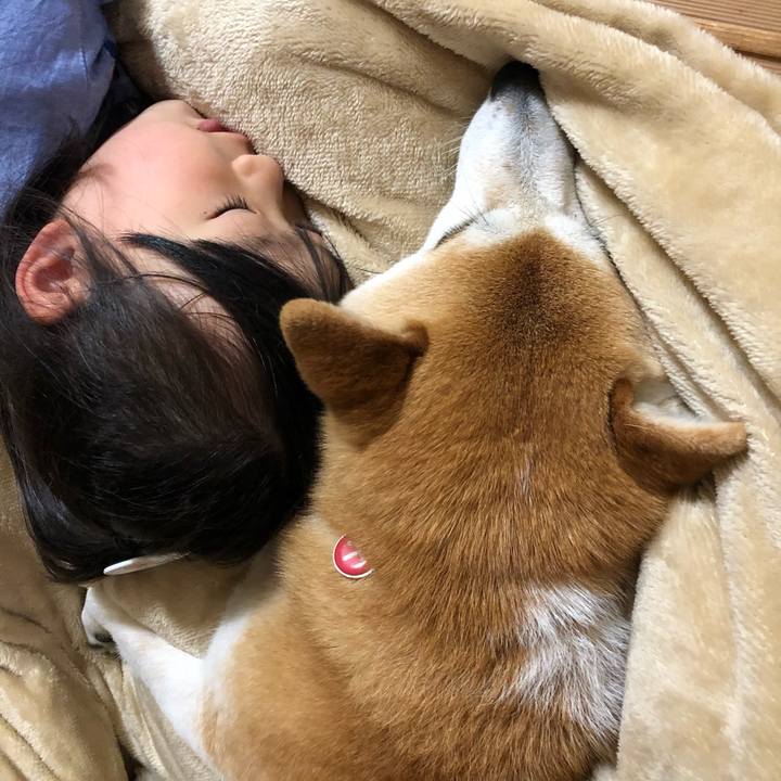 71ac29e9 5383 4874 ab6f e586734abb9d 1619830840340