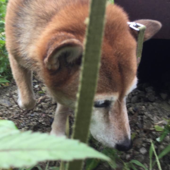 71ac3c5c 2973 4556 8370 ed0235f0eee7 1631164141702