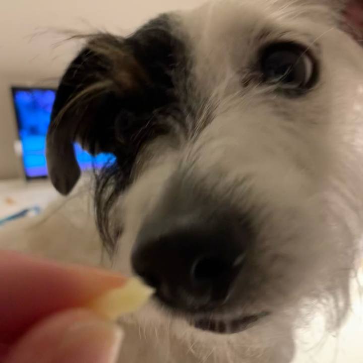 71ac71b8 bdb6 4c40 869a 550460758898 1679657287410