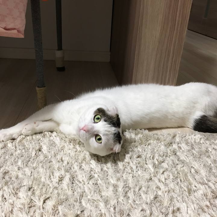 71aca85e e0e2 47ba a68d 20cbcd4123f1 1519299836039