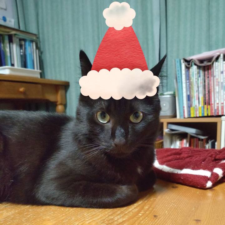 71acc992 5c08 4deb a7e4 ab00a8c47443 1640395811548