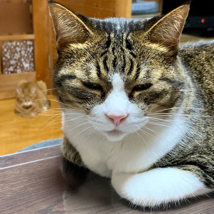 71acec2d 6db3 4cd6 84a3 68443fda7b61 1661600480102