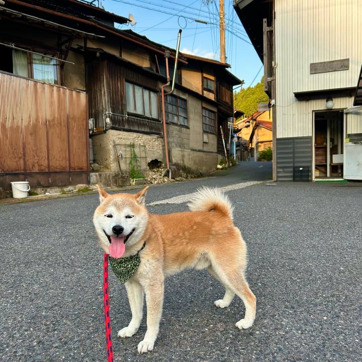 71ad04d6 47d5 4ab5 836a 63a4ae1cceba 1750159432290