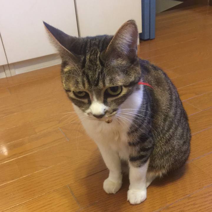 71ad157c 8ff6 4fa1 8398 18267c37adfb 1553159067013