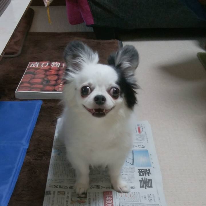 71ad2c1b bbf9 4526 99a4 1248c494e945 1531749716319