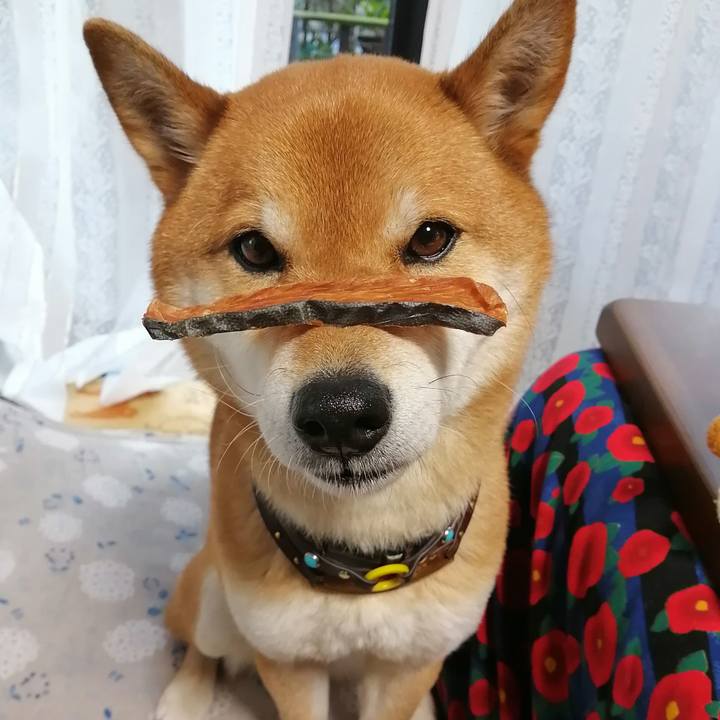 71ad4f89 1c36 4e55 a02e ddb890985e72 1582012844072