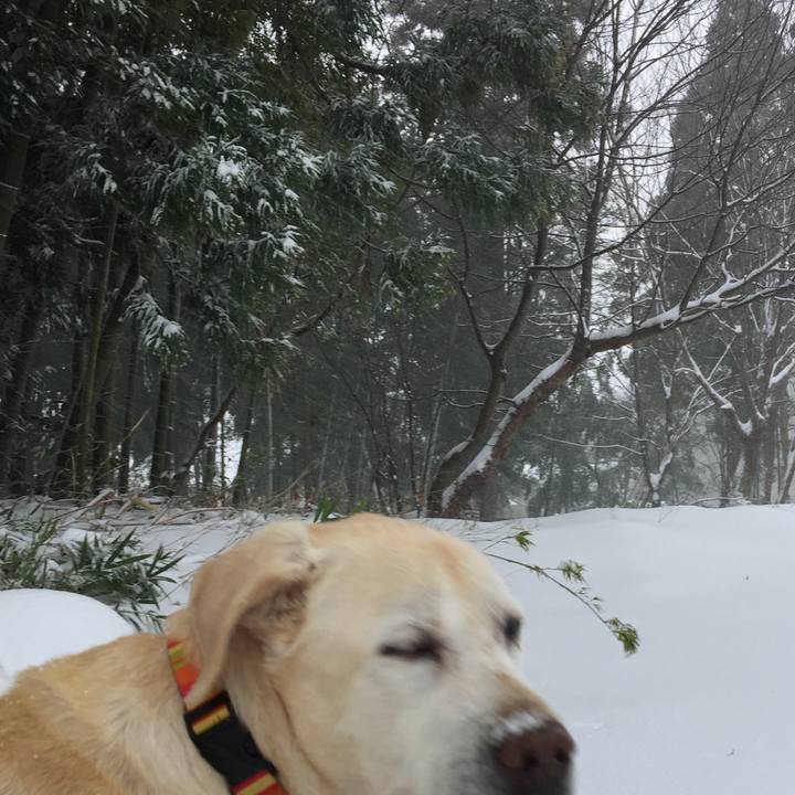 71ada878 356b 4443 92c9 fa76c74843f5 1514357297299