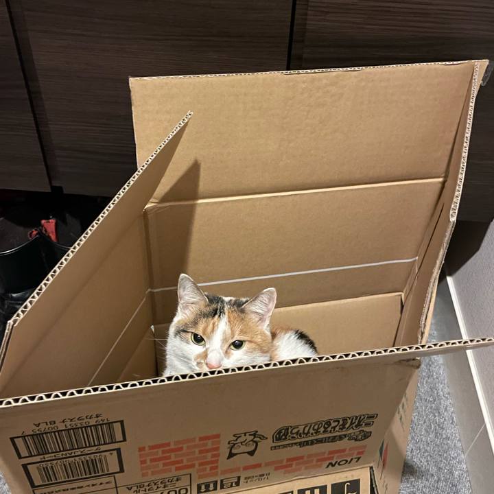 71adabd4 284b 4cb5 ba83 09f610b29e61 1667016418567