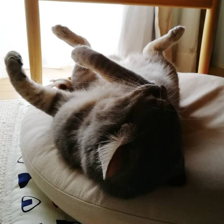 71add48e 3011 42a0 820a 88d0458d603b 1530419416319