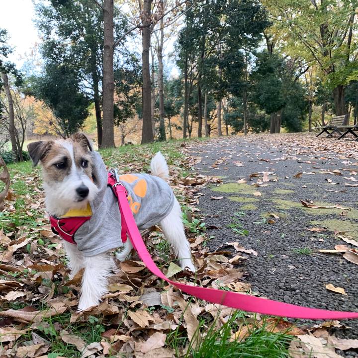 71ae0aab 1124 4c43 9db5 01bcb9538304 1575619891969