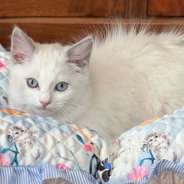 71ae529e af3a 4093 8d16 e7d0e87807f9 1740450910751