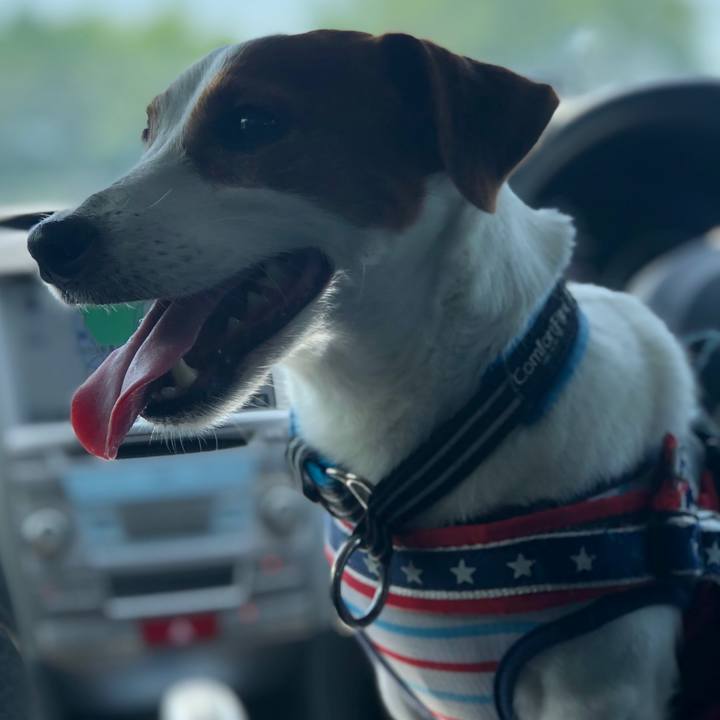 71ae6417 f305 4e92 bbc5 4706b2299aae 1684753446710