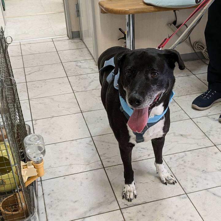 71ae6a2b 2a8f 4bfa bc26 453606850e85 1721733297078