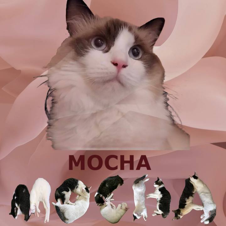 71ae6ee1 6419 49ee 9194 6797d3a79849 1669508501963