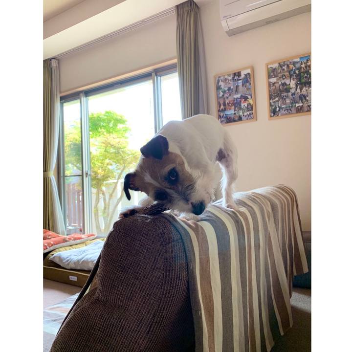 71aea838 5cb7 495c 9855 c0969c55dc7c 1586999417516