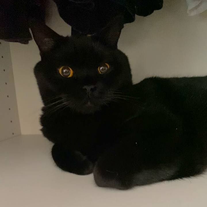 71aeecd5 d09f 444f 8c74 b96f90aeb9e2 1633906820118