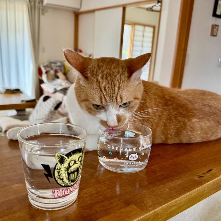 71af0c0a dc4a 49ec b966 2d980b6babbb 1759719250187