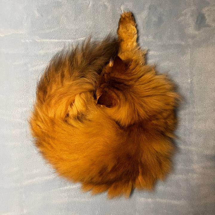 71af2ffc 64ee 4a1b a7a5 bbf6293af992 1654598064209