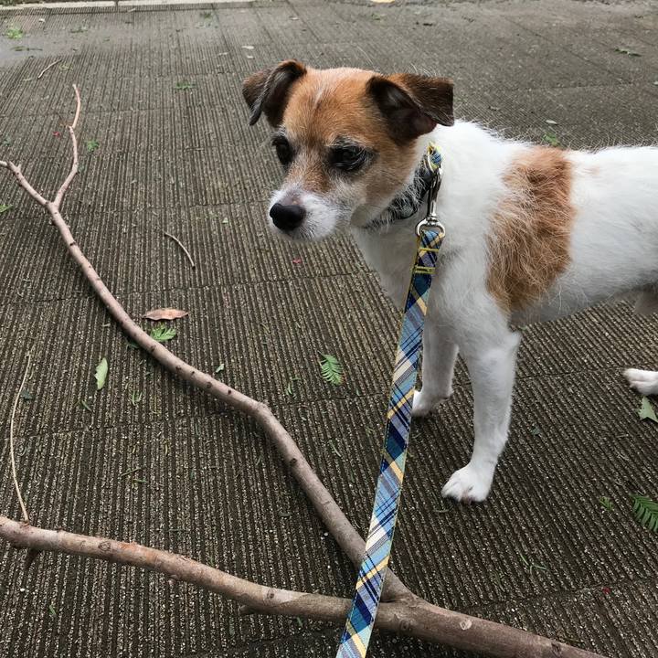 71af36d9 8a54 49b5 ba93 d5412a90e577 1567991102621