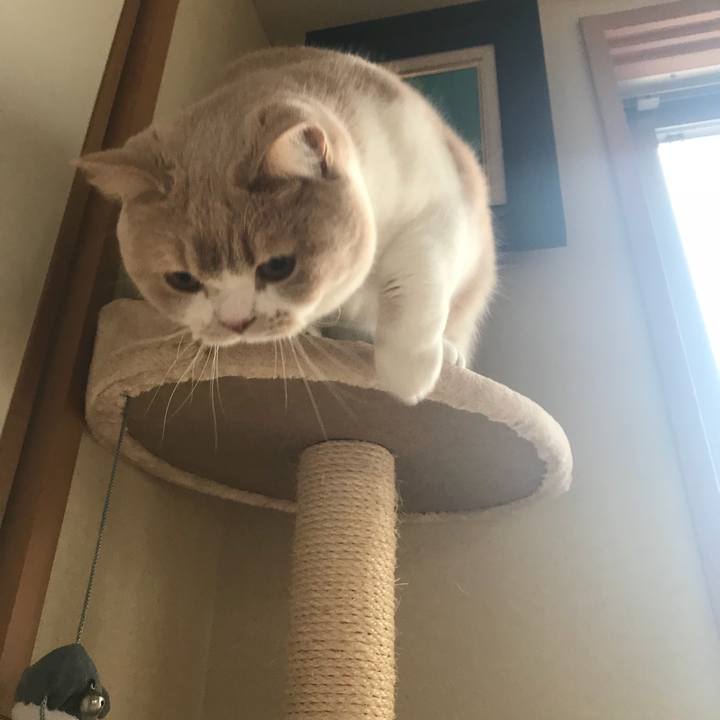 71af3fb5 998b 4e88 9209 e00bd5e2e483 1518448832444