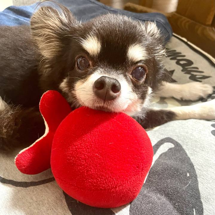 71af5f6e 6905 4c58 98ec 9a2d03eadfce 1665748152881