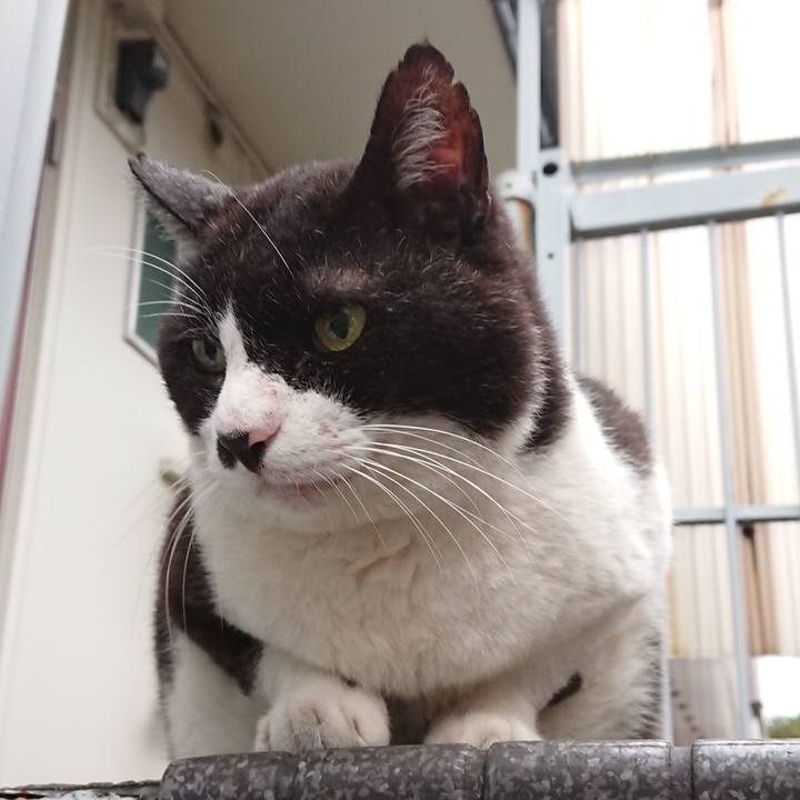 71af88e7 cadb 4396 af7e 2f8181f64ac1 1632538418732