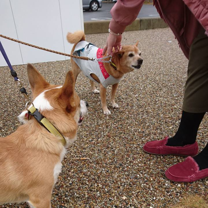 71afeb59 f451 40a0 b19d 074b30d00e59 1576711559809