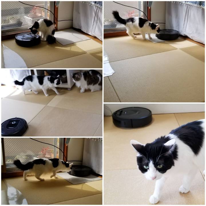 71affd8a 3cb3 480f 8413 882c41642d25 1582592519434