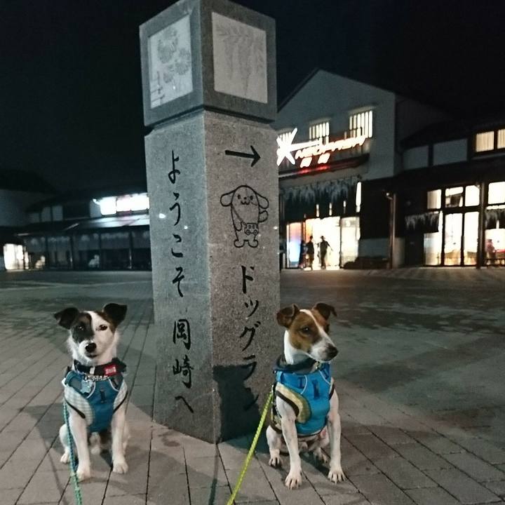 71b004d6 55a1 4493 afd1 c32798e70c5c 1556633447622