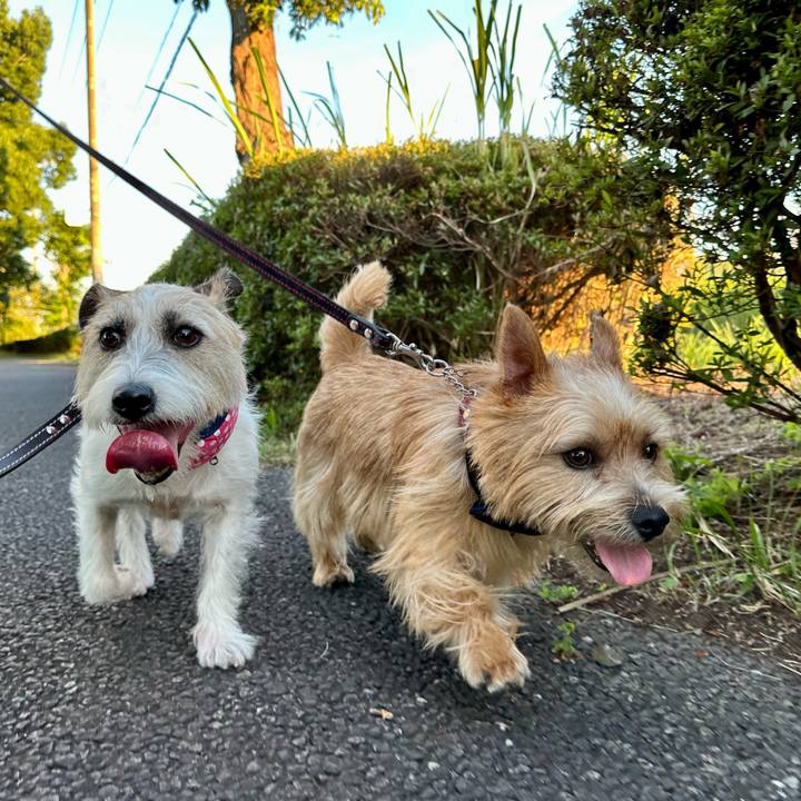 71b0157d 4e70 40ed bfcb cbd5d7faa868 1753032552560