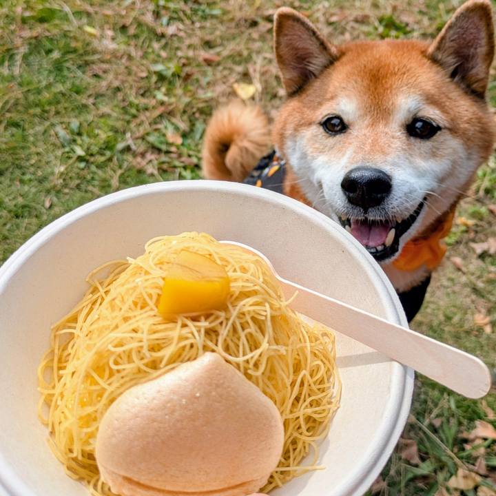 71b02a2b 0e4c 49d4 8173 31b9412e4efb 1761736945586