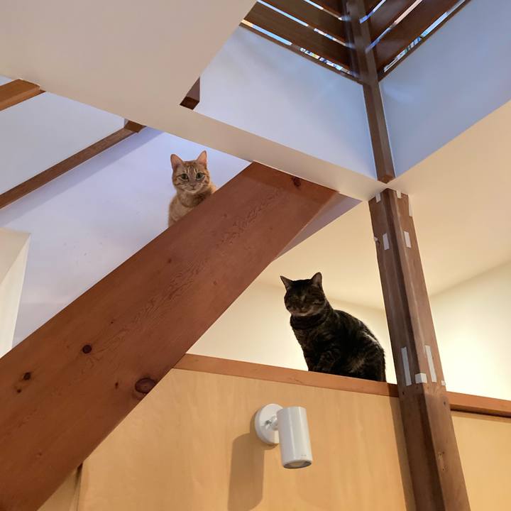 71b030fe a06e 4ceb 835a d0c3363459dd 1665664632316