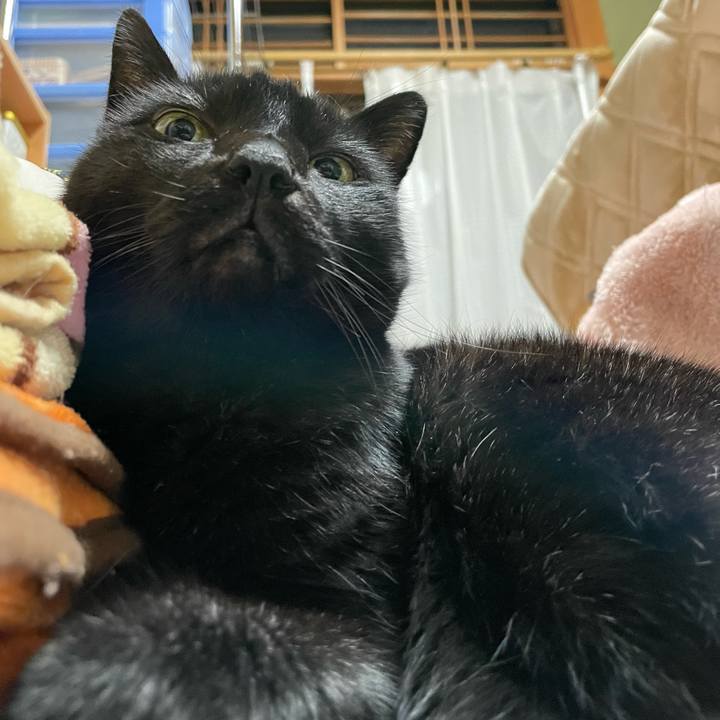 71b04302 be60 4d18 9f11 13512569bd1a 1642642590698