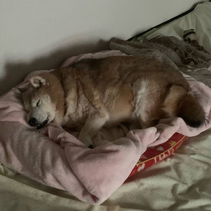 71b05c4e fb1f 41f8 bbeb b4d88d2bcfbd 1672393486457