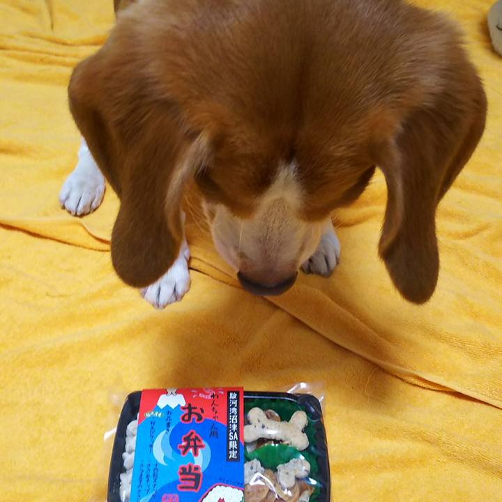 71b06b03 e58e 48cd 9112 25115677651c 1541330942199