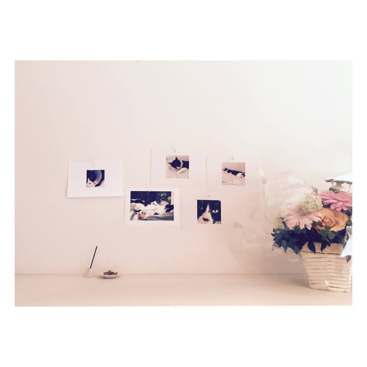 71b07409 b923 4822 ad74 9f501571a6ed 1653135818617