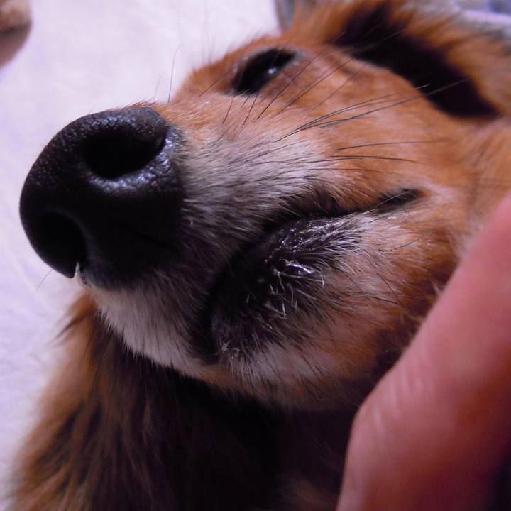 71b07c94 ff61 479b 8f66 fd16511a734e 1563296550439