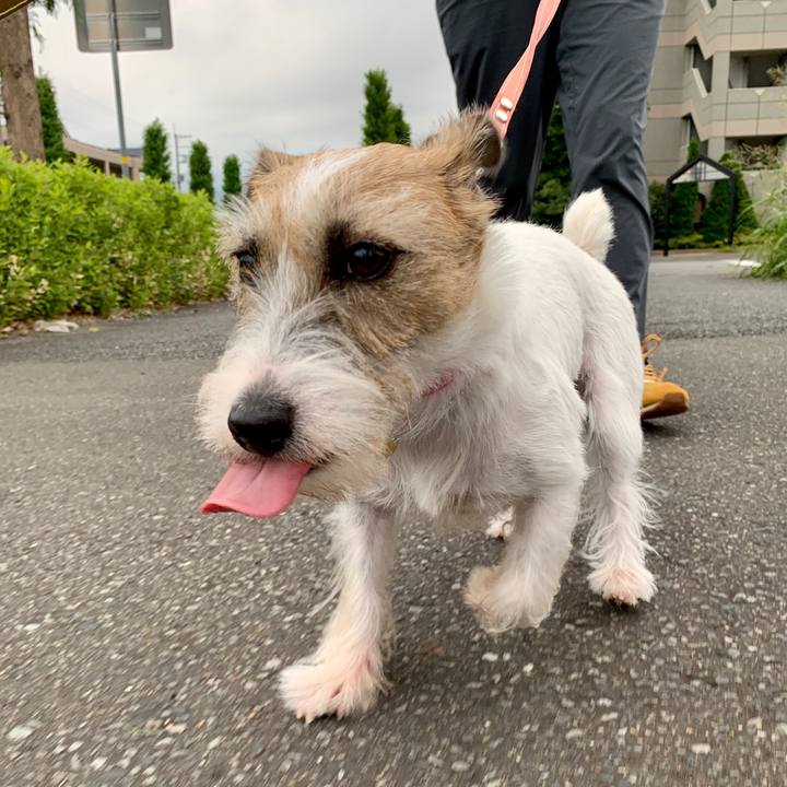 71b0add8 86c4 4d35 bbf1 dd916126c5bf 1600510566452