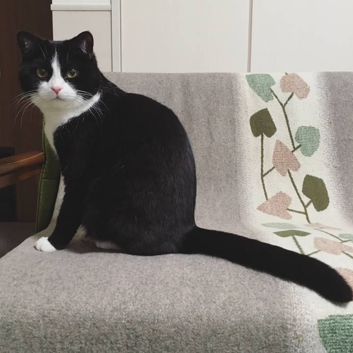 71b0bd69 dcb9 42f3 abb4 97fb3d0e8178 1582282821476