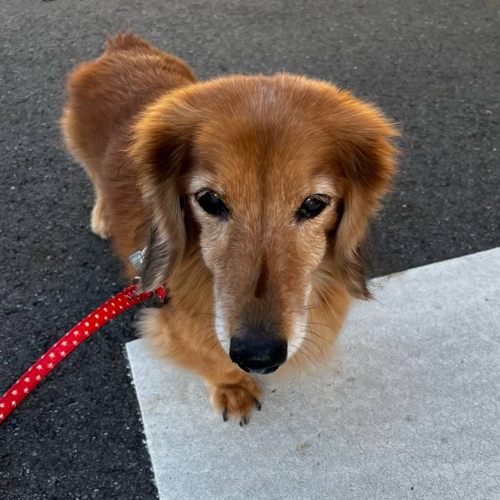 71b0c664 2cec 4ebb 846f ff25c76ef684 1670848283910