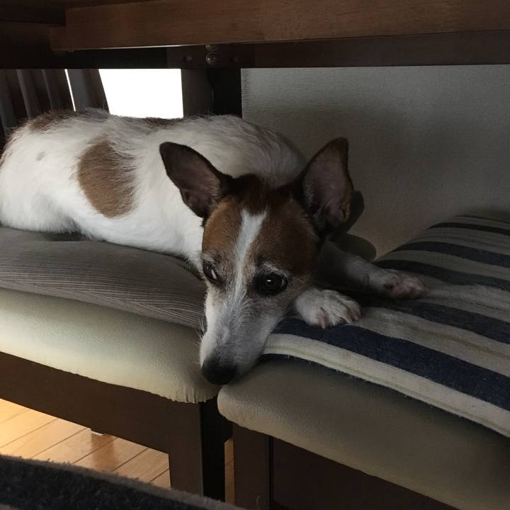 71b0c8d7 d7ba 4e99 8ee0 7d6b50d515d4 1566186169363