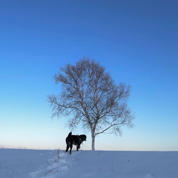 71b0d4a4 c2b1 47fa 9bae 29651a5a6d1e 1765361222168