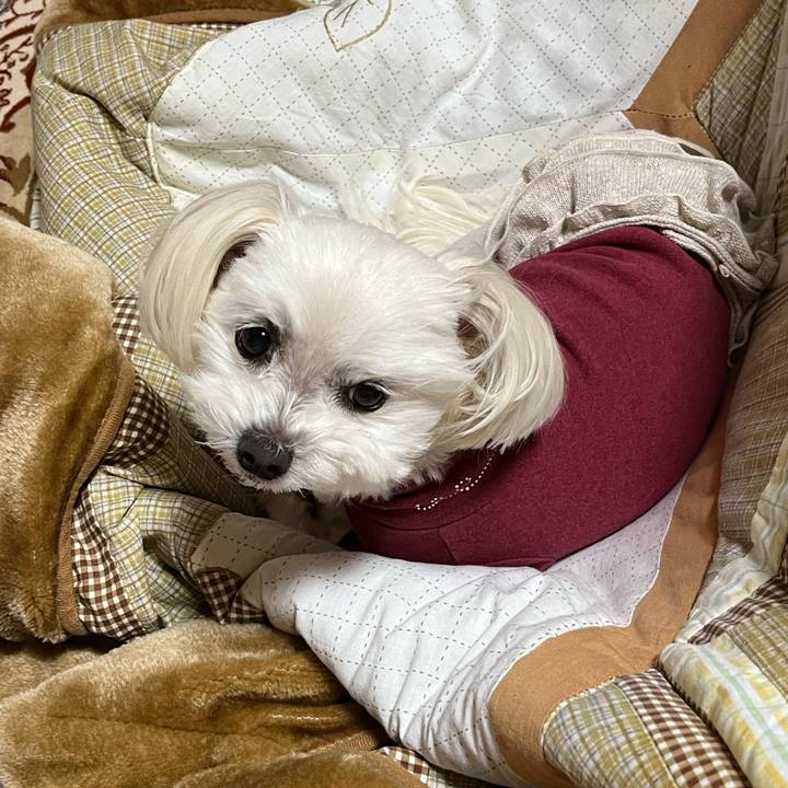 71b0dc1b a83c 4584 9d1a 1095cbbe04f1 1674539047303