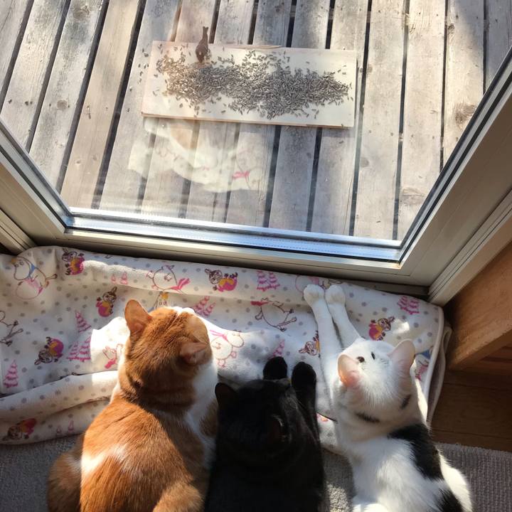 71b0ed45 dd54 436a ba04 0af259c1c5bb 1584141510519