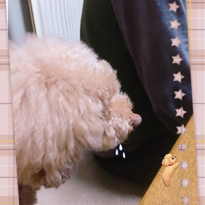 71b0fd90 5fb3 4d9b bf35 d0eccea3dfa1 1524605399316