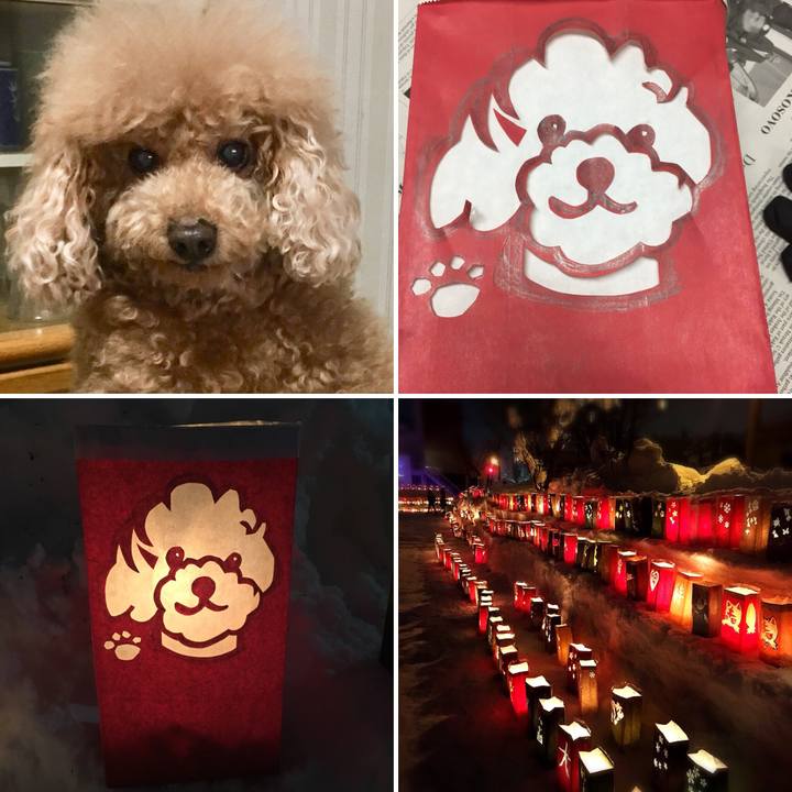 71b0fe76 bff6 4f4e 8fb6 2f4848f5db71 1518869437579