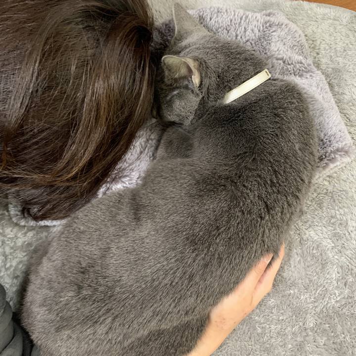 71b10148 dfd2 4315 9861 aa44646de243 1676264318804