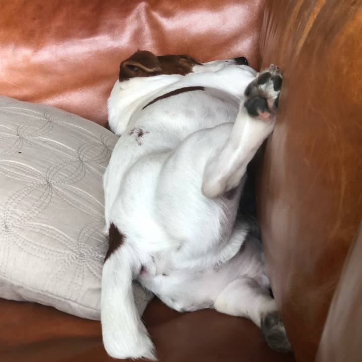 71b14897 1e6b 42f2 b45d 379dfa2871f5 1558948472170